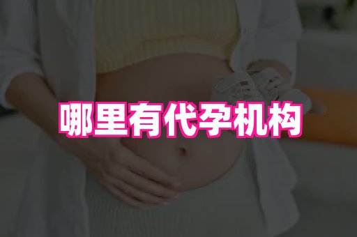 武汉助孕网 1