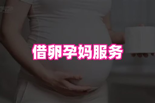 武汉助孕网 3