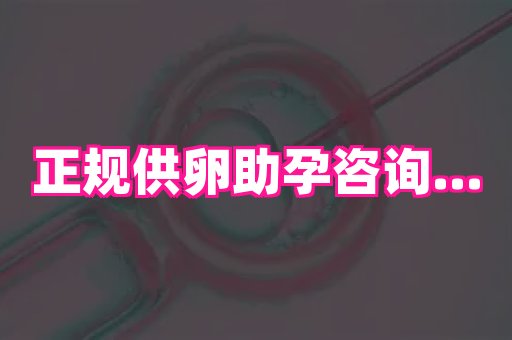 武汉助孕网 4